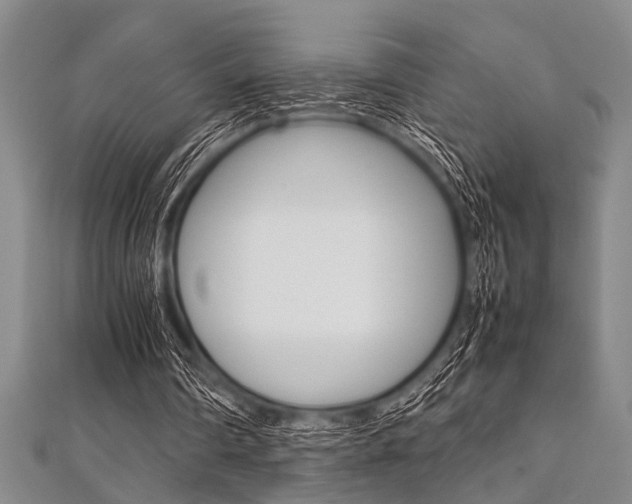 X0000112110290200908041157
