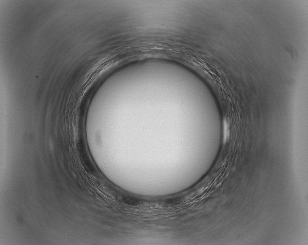 X0000112110291200908041157