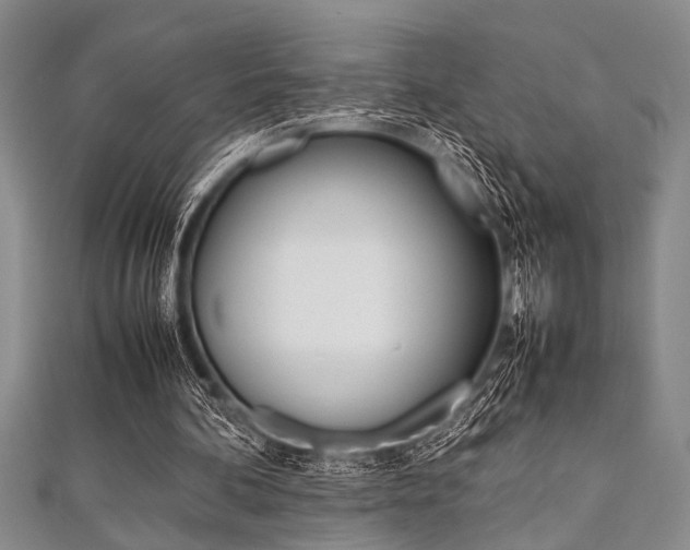 X0000112110292200908041157