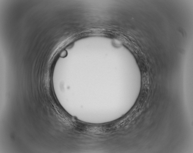 X0000112110293200908041157