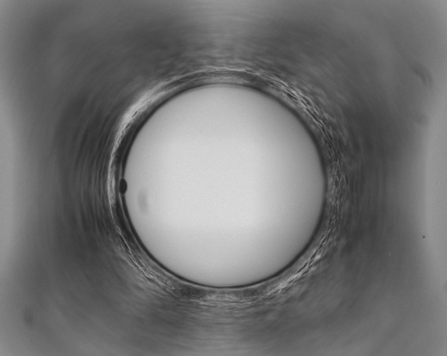 X0000112110294200908041157