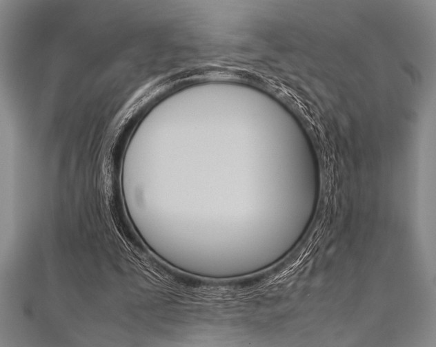 X0000112110295200908041157