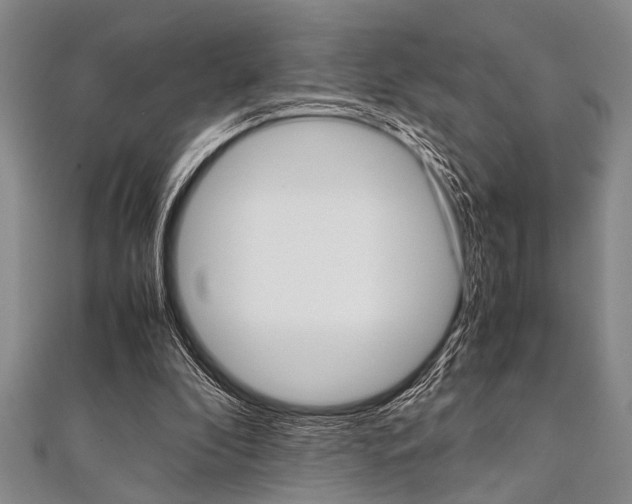 X0000112110296200908041157