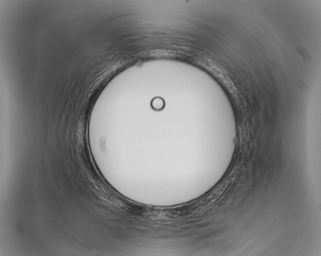 X0000112110297200908041157