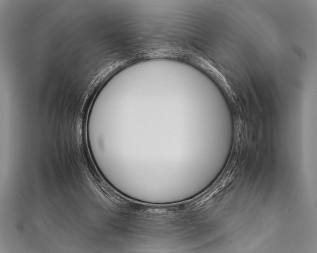 X0000112110298200908041157