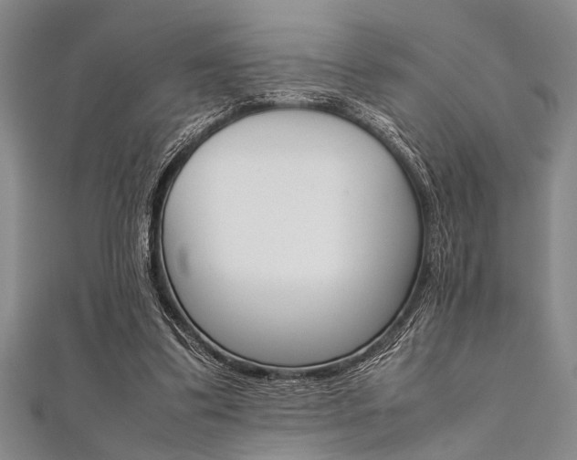 X0000112110299200908041157