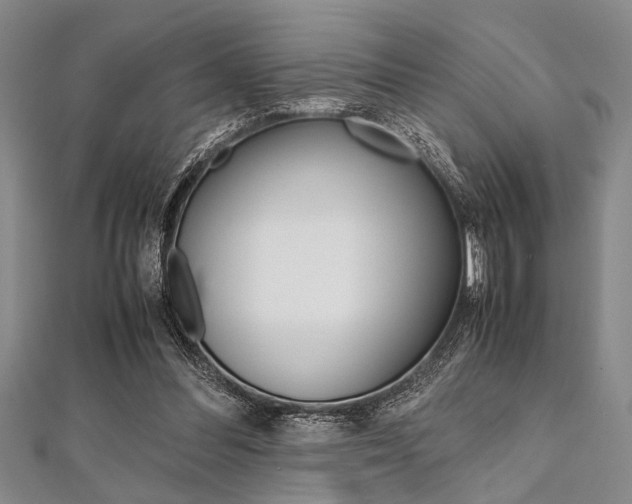 X0000112110300200908041157