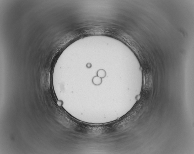 X0000112110301200908041157