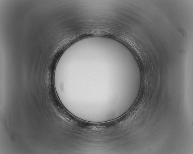 X0000112110303200908041157