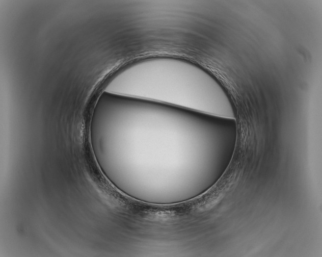 X0000112110304200908041157