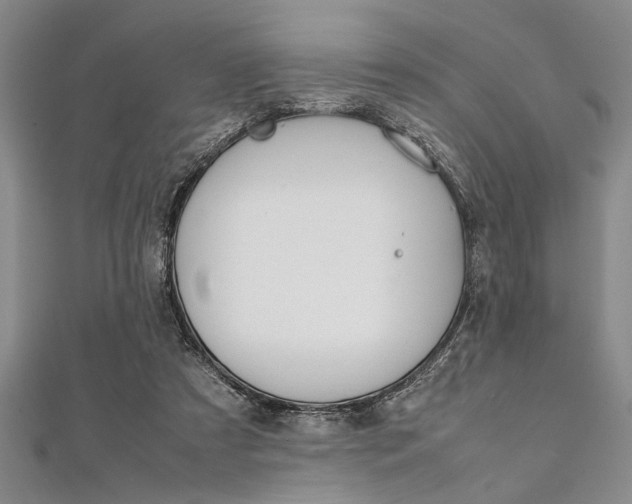 X0000112110305200908041157