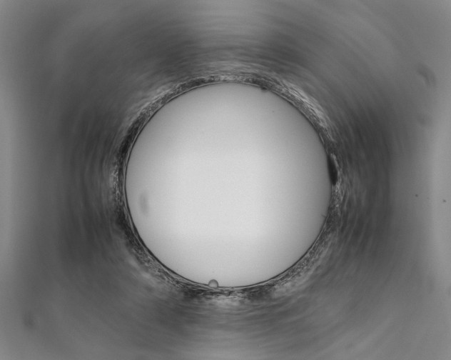 X0000112110306200908041157
