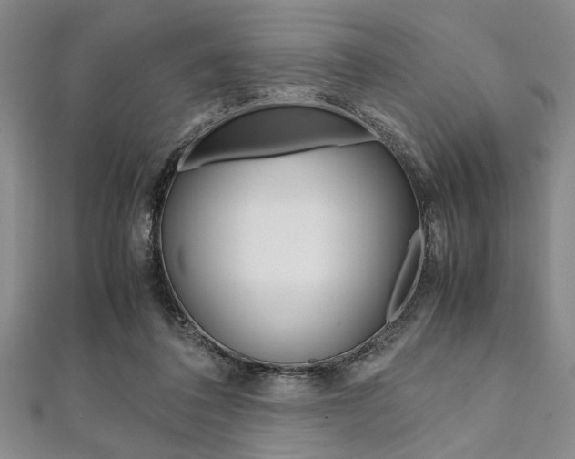 X0000112110308200908041157