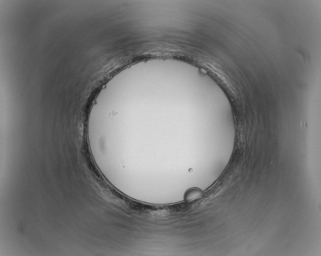 X0000112110309200908041157