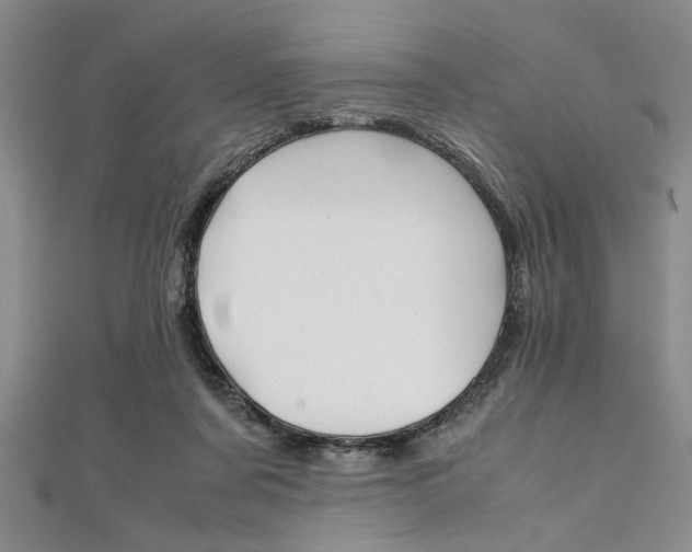 X0000112110311200908041157