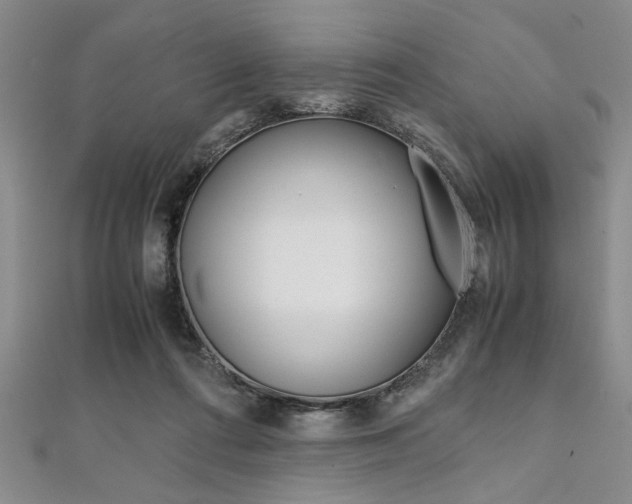 X0000112110312200908041157