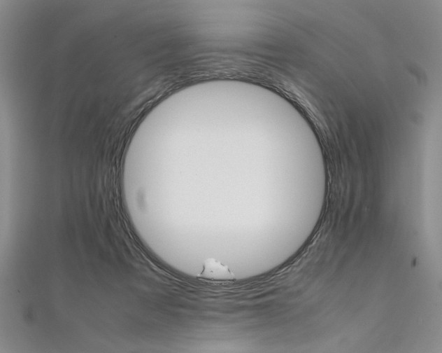 X0000112110313200908041157