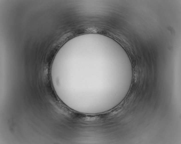X0000112110314200908041157