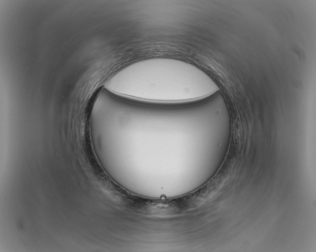 X0000112110315200908041157