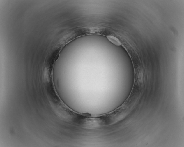 X0000112110316200908041157