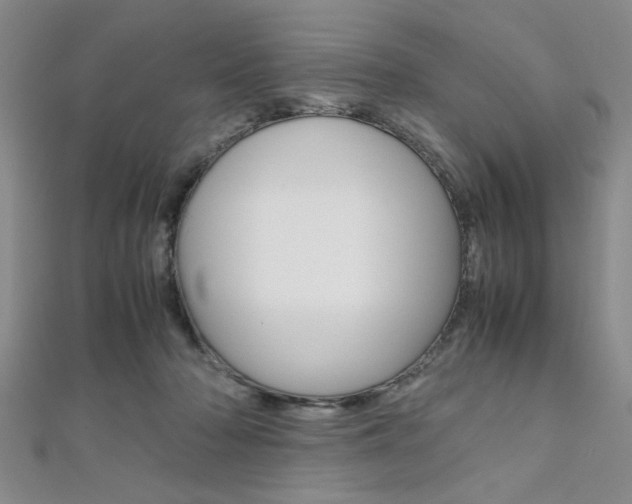 X0000112110318200908041157