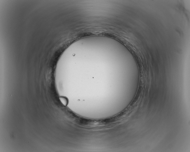 X0000112110319200908041157