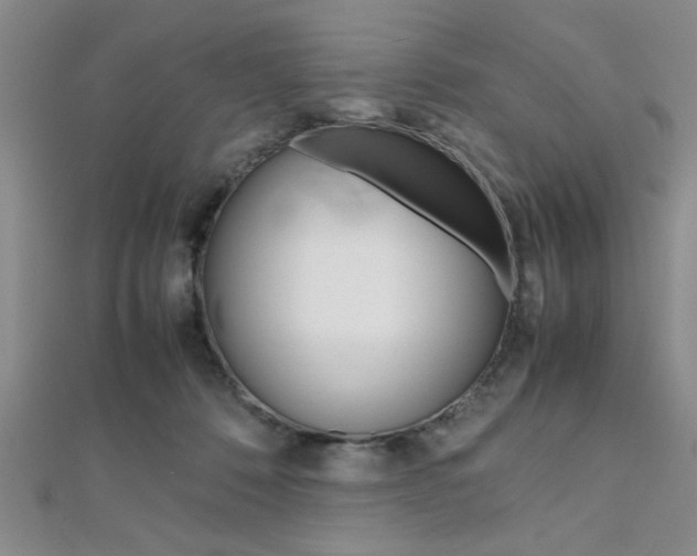 X0000112110320200908041157