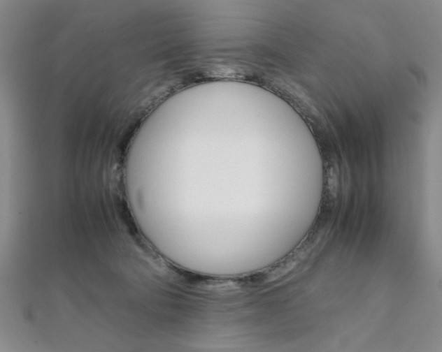 X0000112110322200908041157