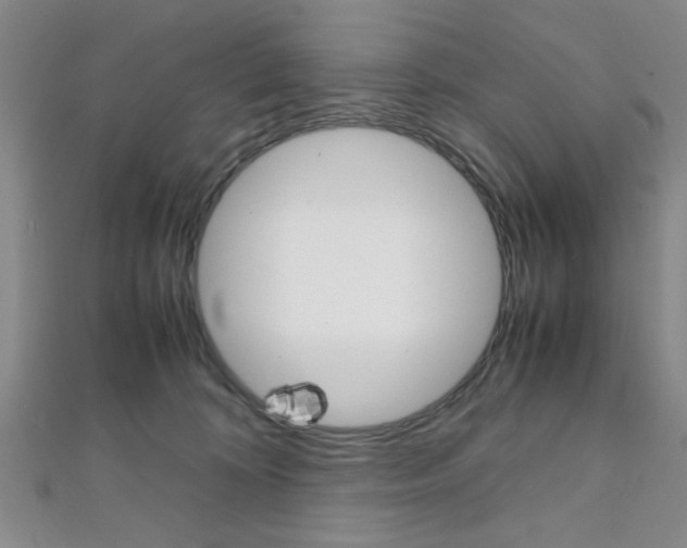 X0000112110324200908041157