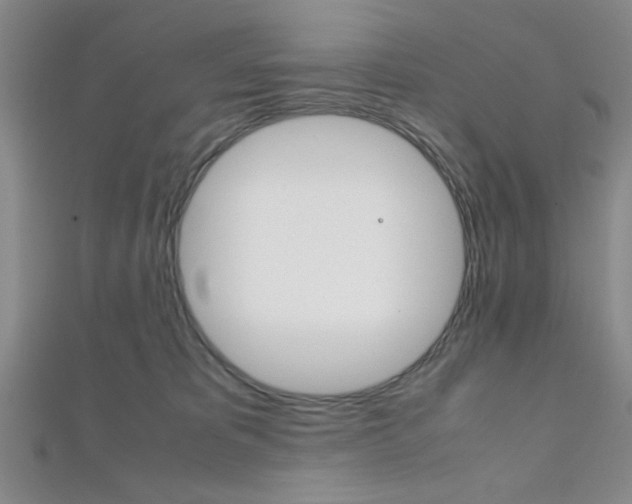 X0000112110325200908041157