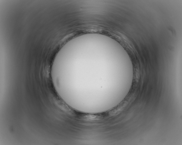 X0000112110326200908041157