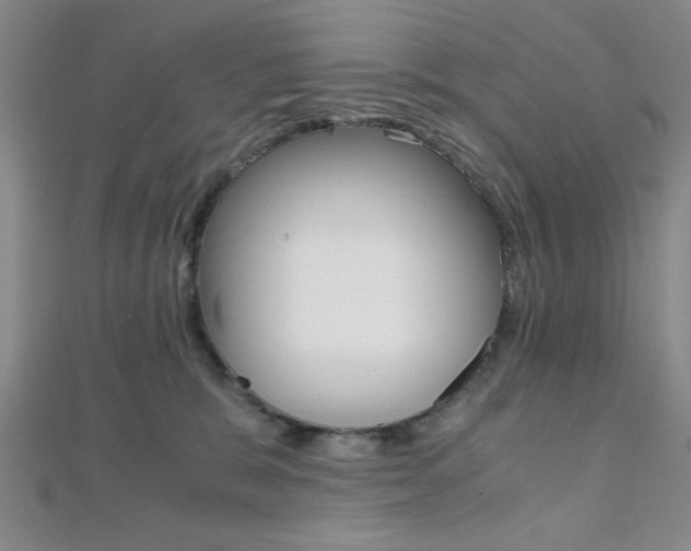 X0000112110327200908041157