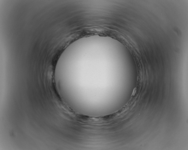 X0000112110328200908041157