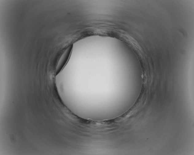 X0000112110329200908041157