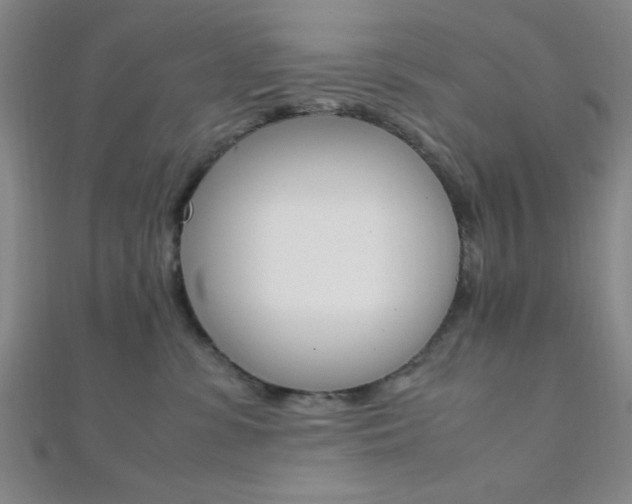 X0000112110331200908041157