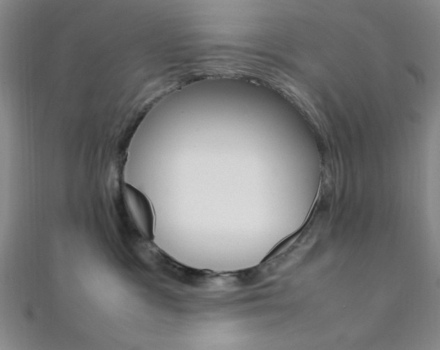 X0000112110333200908041157
