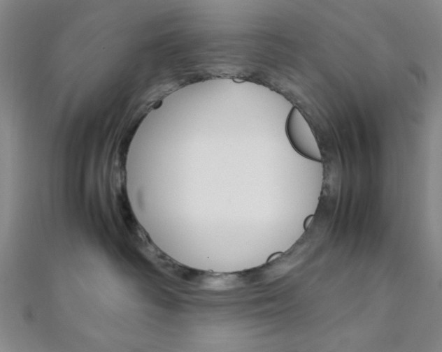 X0000112110334200908041156