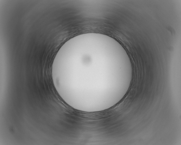 X0000112110336200908041156