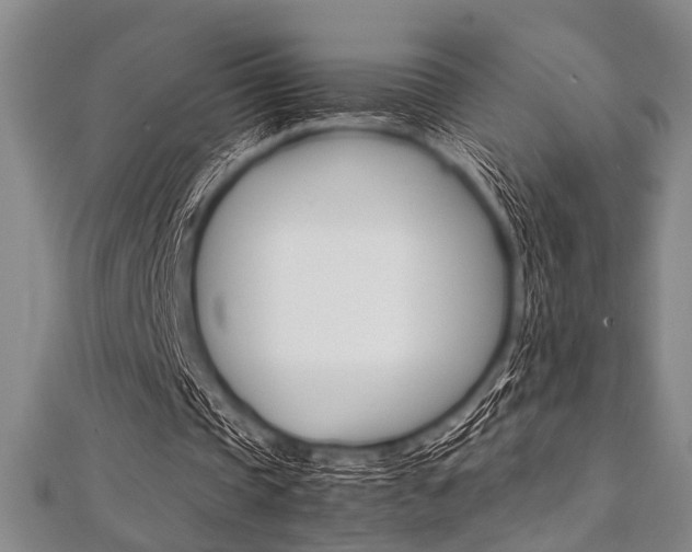 X0000112110337200908041156