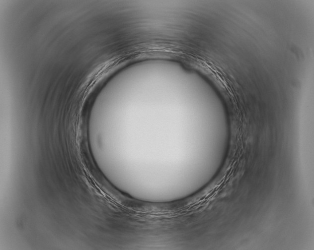 X0000112110338200908041156