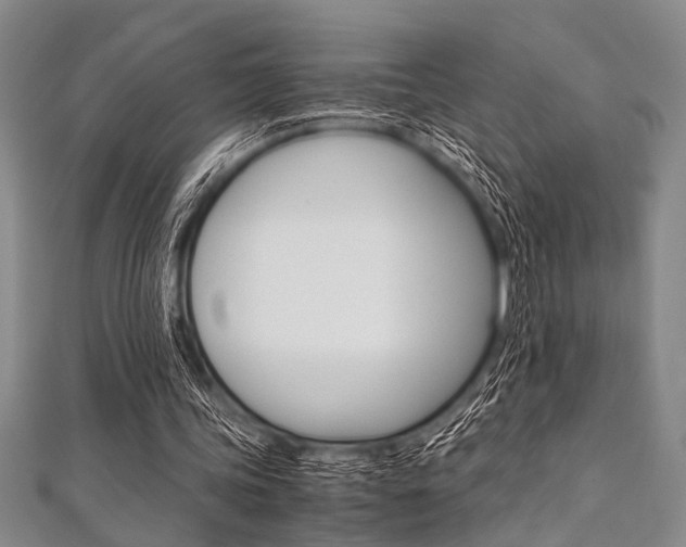 X0000112110339200908041156