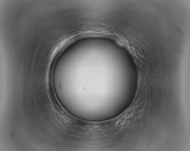 X0000112110340200908041156