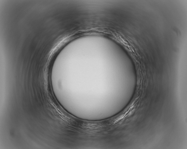 X0000112110341200908041156