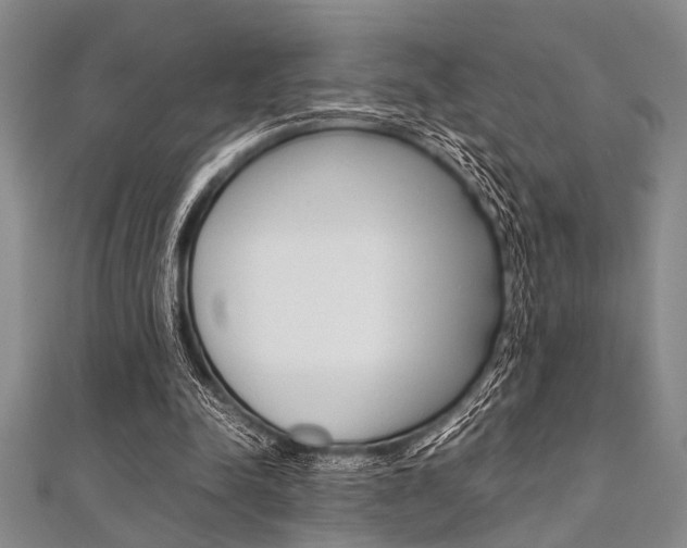 X0000112110342200908041156