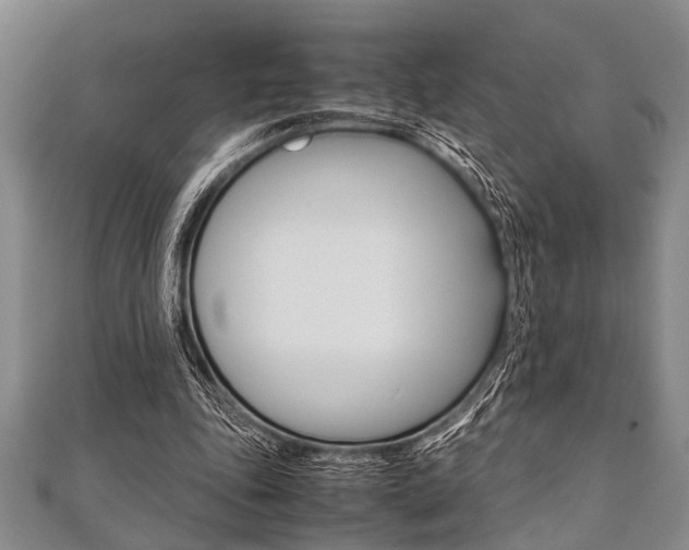 X0000112110343200908041156