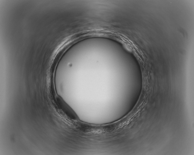 X0000112110344200908041156