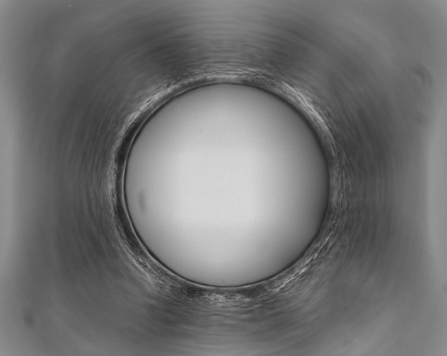 X0000112110346200908041156