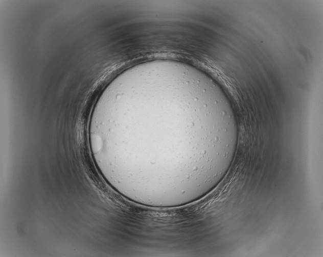 X0000112110347200908041156