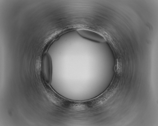 X0000112110348200908041156