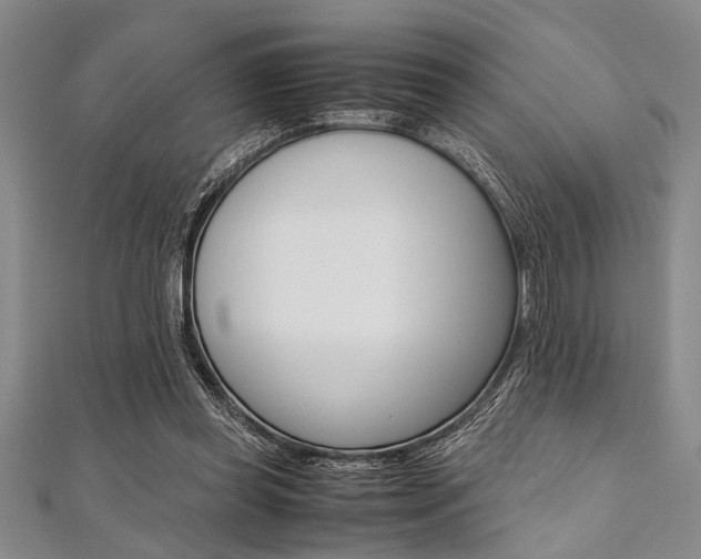X0000112110349200908041156
